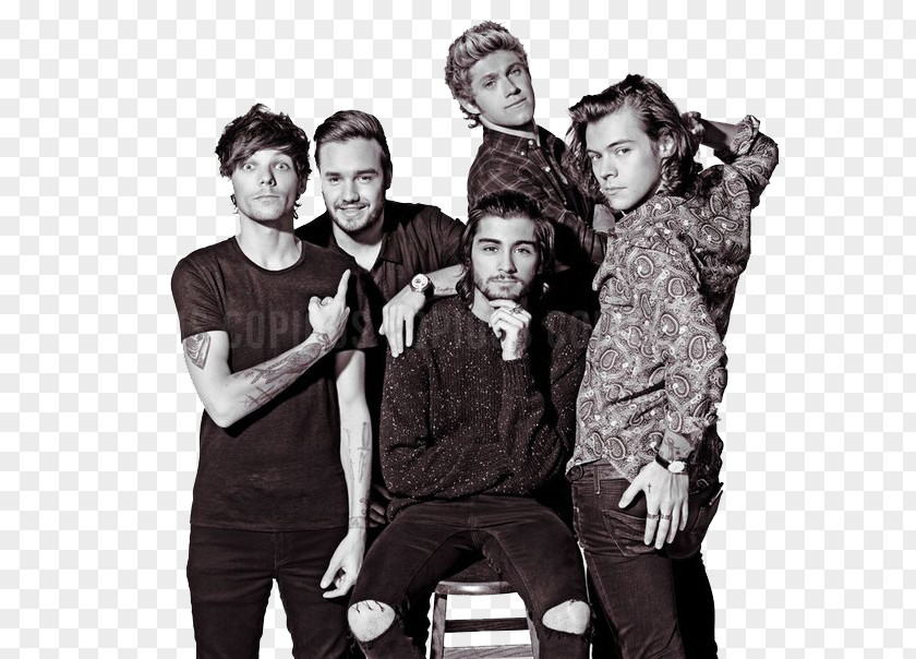 One Direction On The Road Again Tour Boy Band PNG