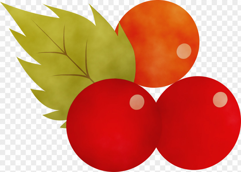 Vegetable Apple PNG