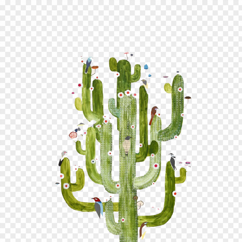 Cactus T-shirt Cactaceae Gouache Succulent Plant Illustration PNG