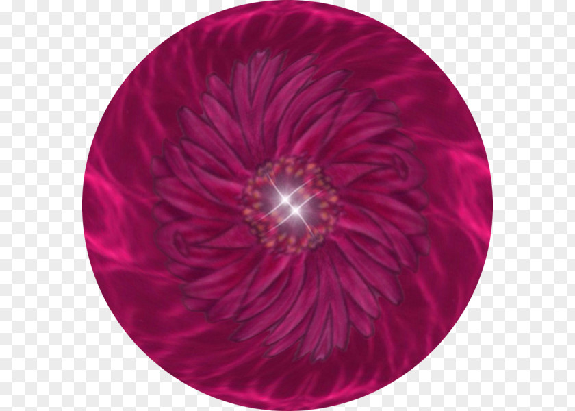 Glimmer Magenta Circle PNG