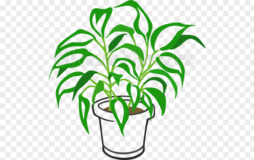 Leaf Clip Art Flowerpot Plant Stem Line PNG