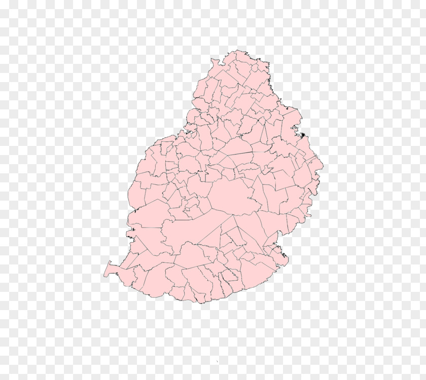 Map Pink M Tuberculosis PNG