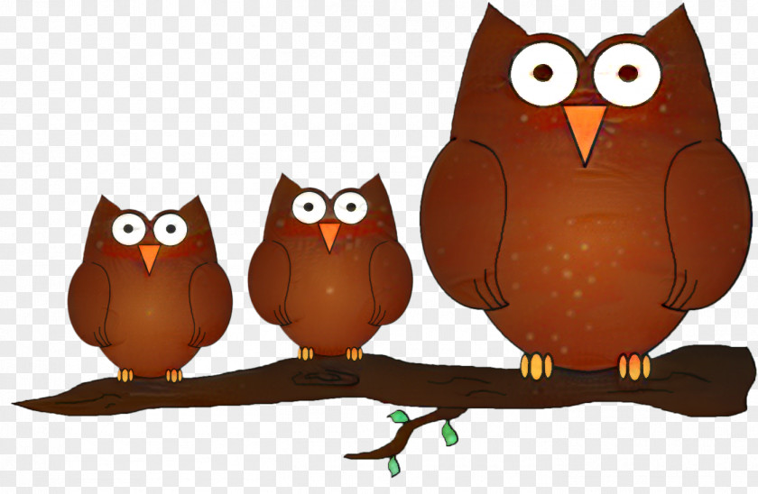 Owl Clip Art Image Drawing PNG