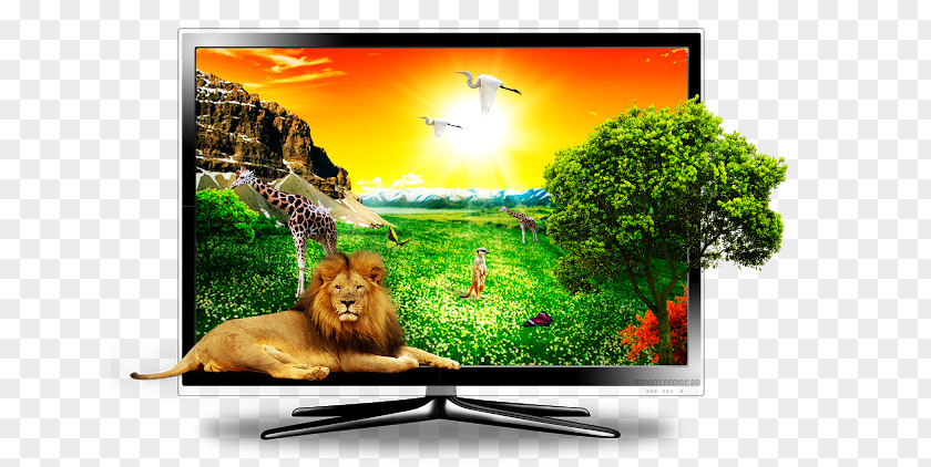 3d Tv LCD Television Set LED-backlit 3D PNG