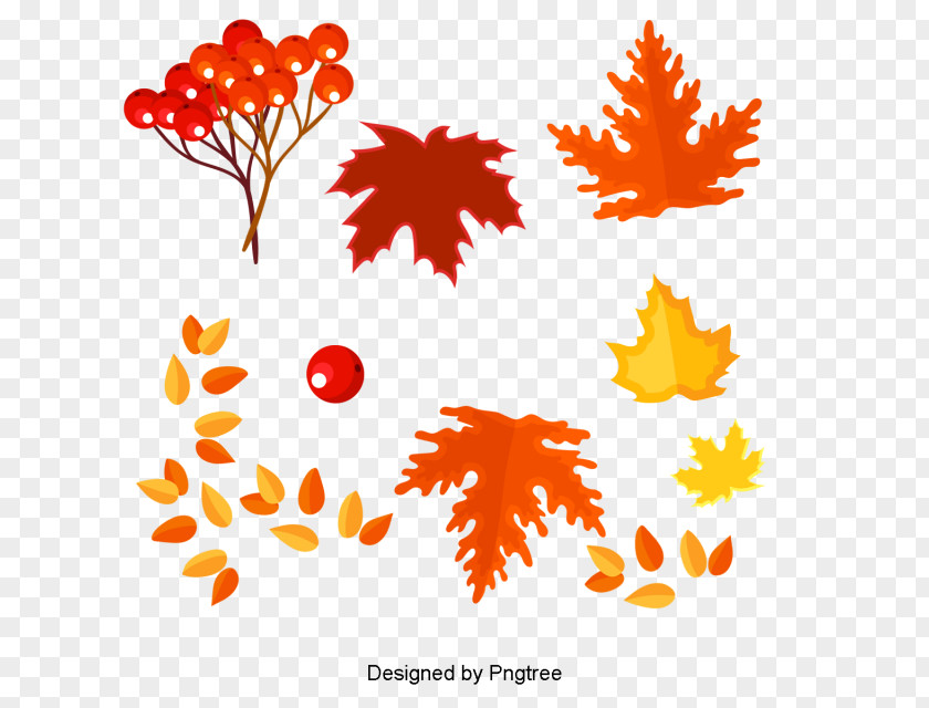Autumn Clip Art Image Drawing PNG