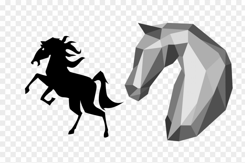 Creative Horse Silhouette Photography PNG