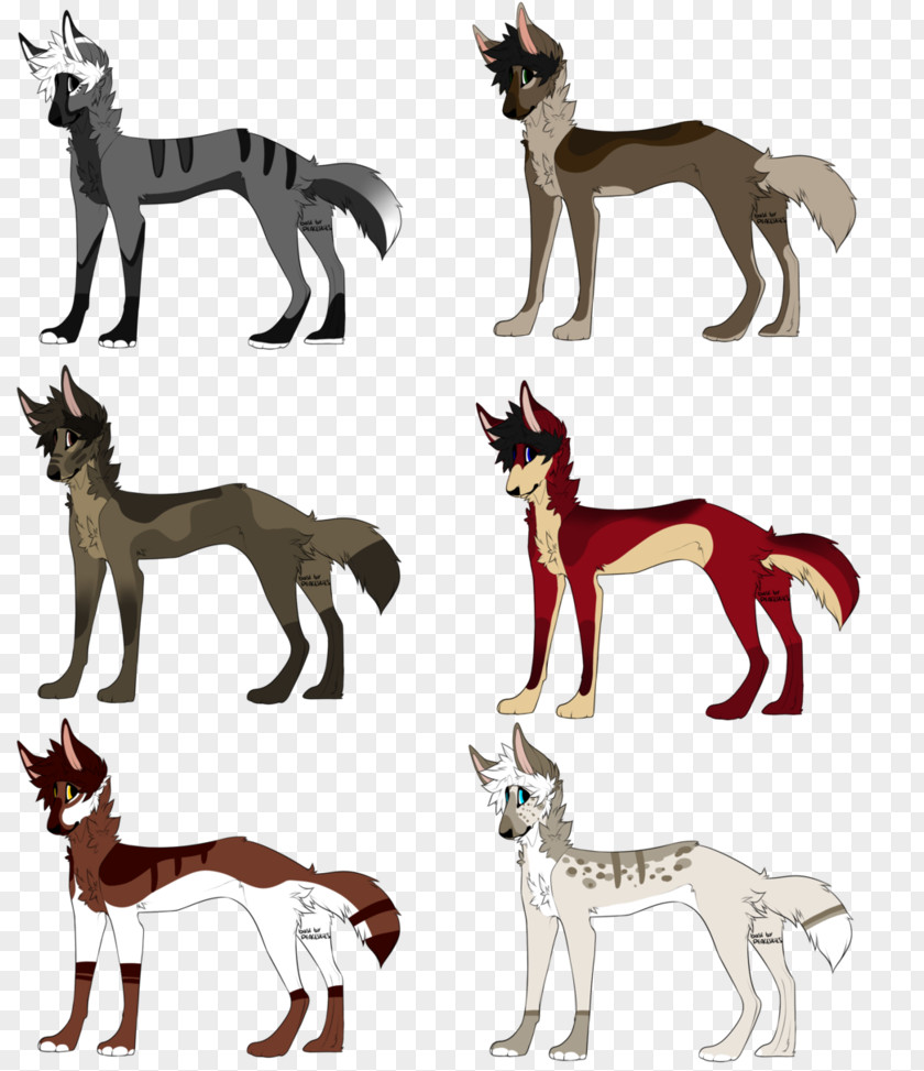 Dog Horse Cat Mammal Jackal PNG