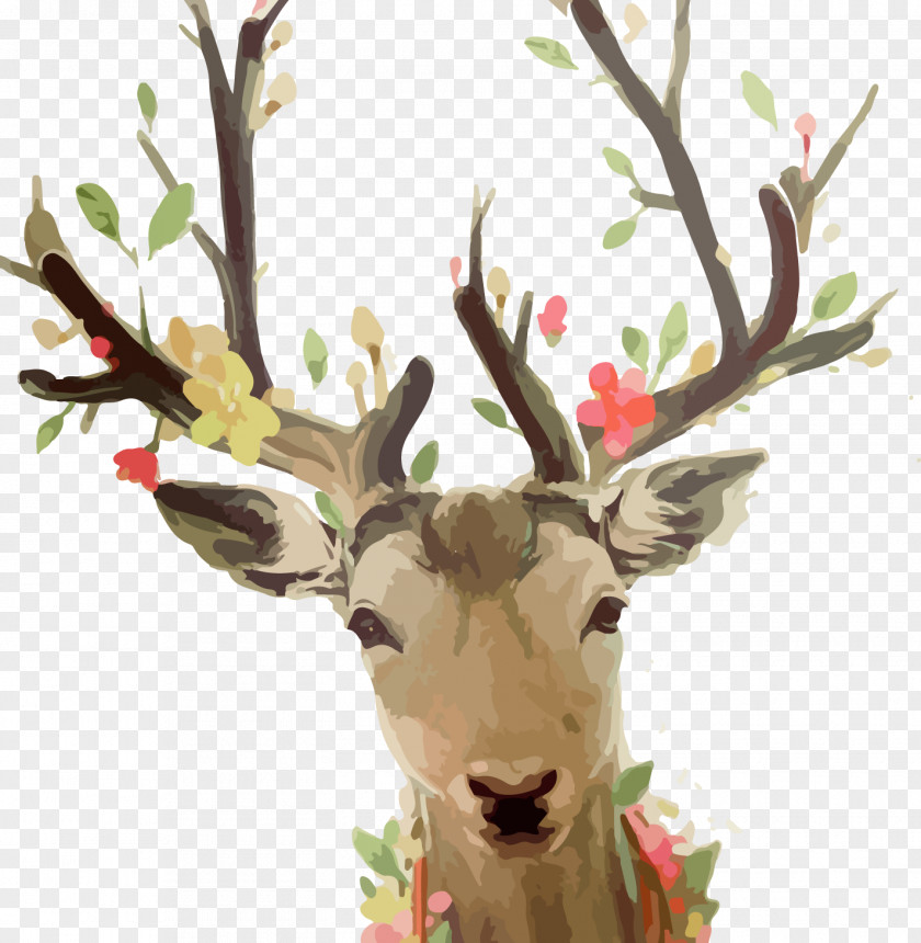Elk,deer Deer Oil Painting Canvas PNG