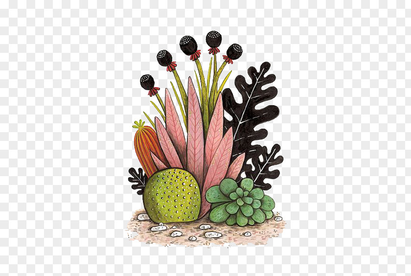 Multi Potted Meat Cactaceae Watercolor Painting Succulent Plant Illustration PNG