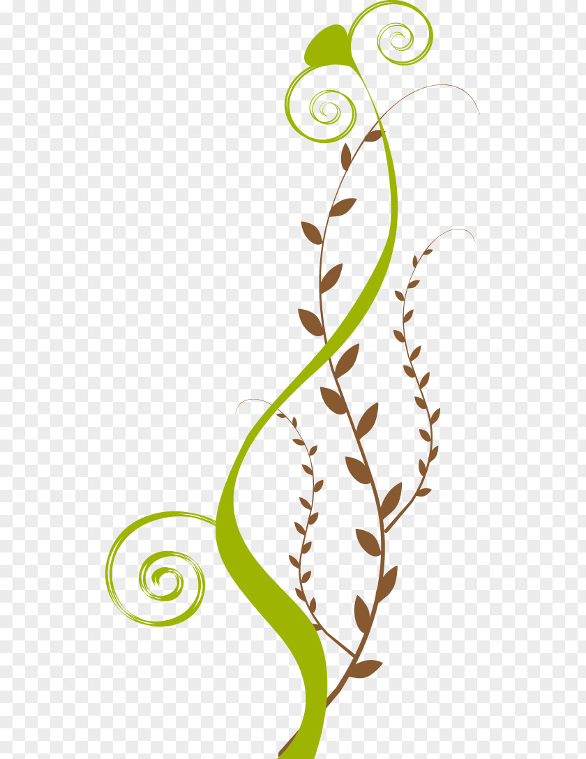 Stolon Plant Stem Ipeľ Leaf Clip Art PNG