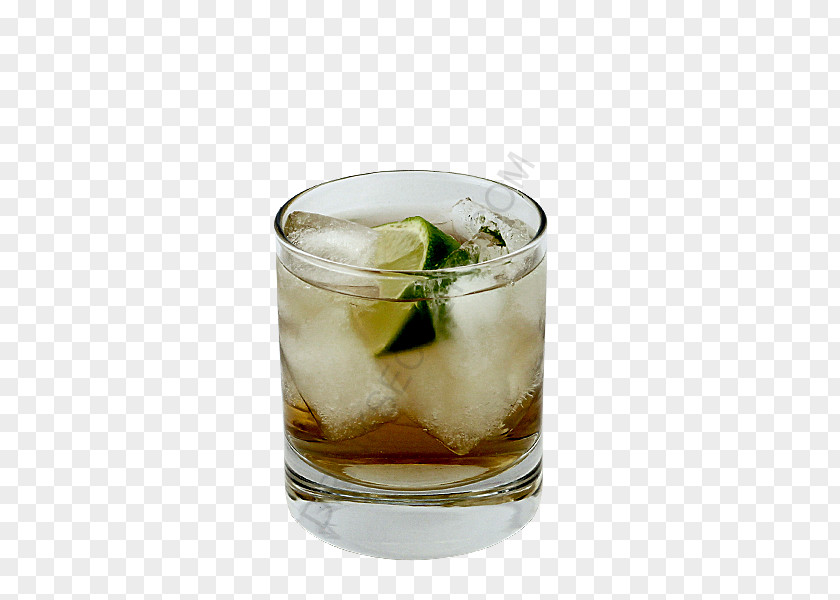 Vodka Martini Rum And Coke Black Russian Caipirinha Gin Tonic Dark 'N' Stormy PNG