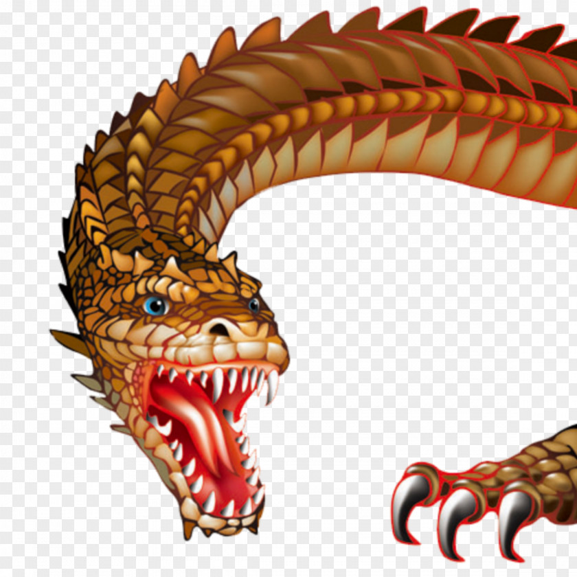 China Chinese Dragon Vector Graphics Stock Photography PNG