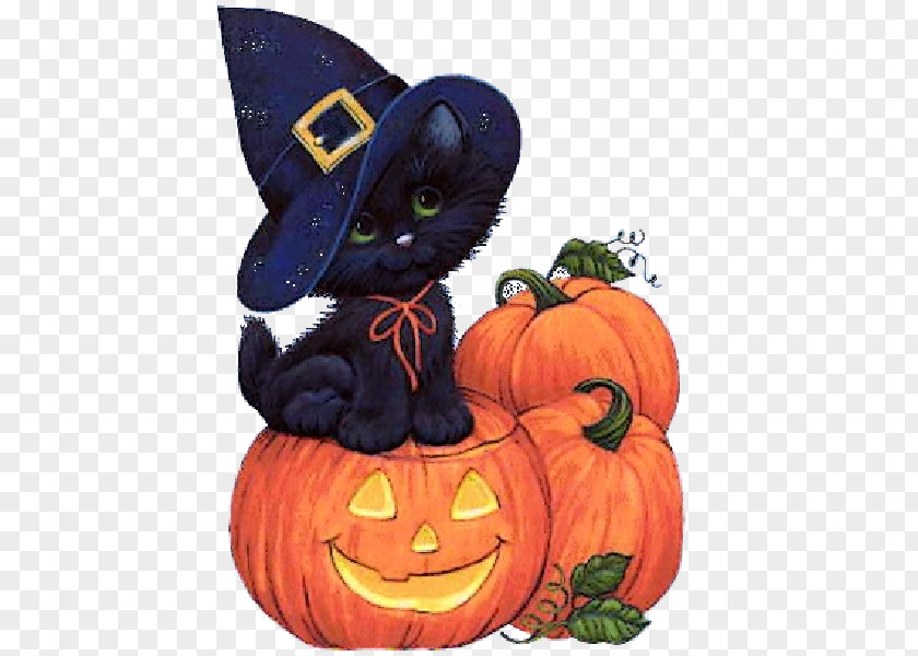 Halloween Transparent Party 31 October Blog Witch PNG