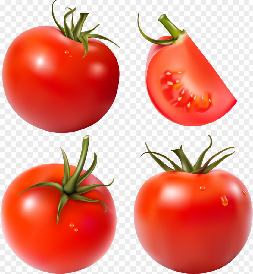 Huerta Map Vector Graphics Tomato Juice Paste Clip Art PNG