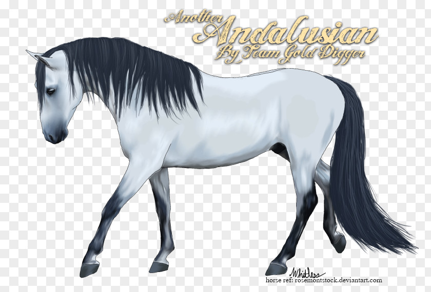 Mustang Stallion Mare Halter Rein PNG