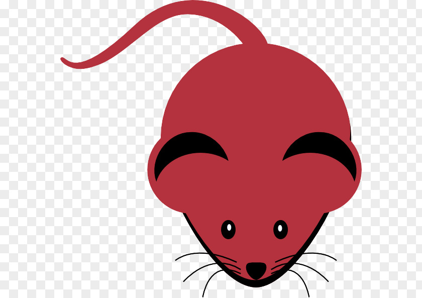 Rat Mouse Nose Red Clip Art Cartoon Snout PNG