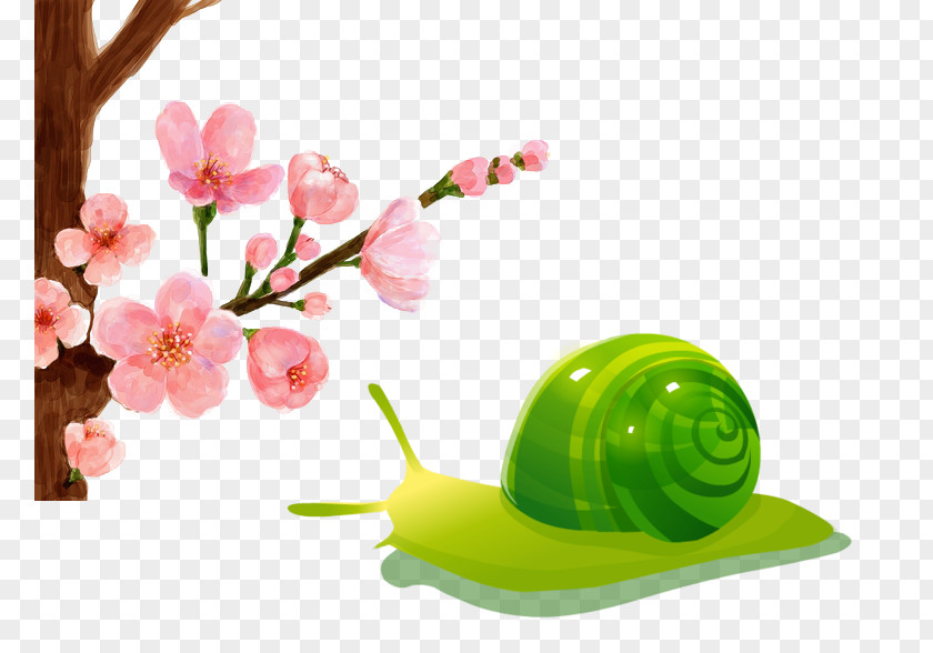 Snails And Plum South Korea Cherry Blossom Infographic Information Festival PNG
