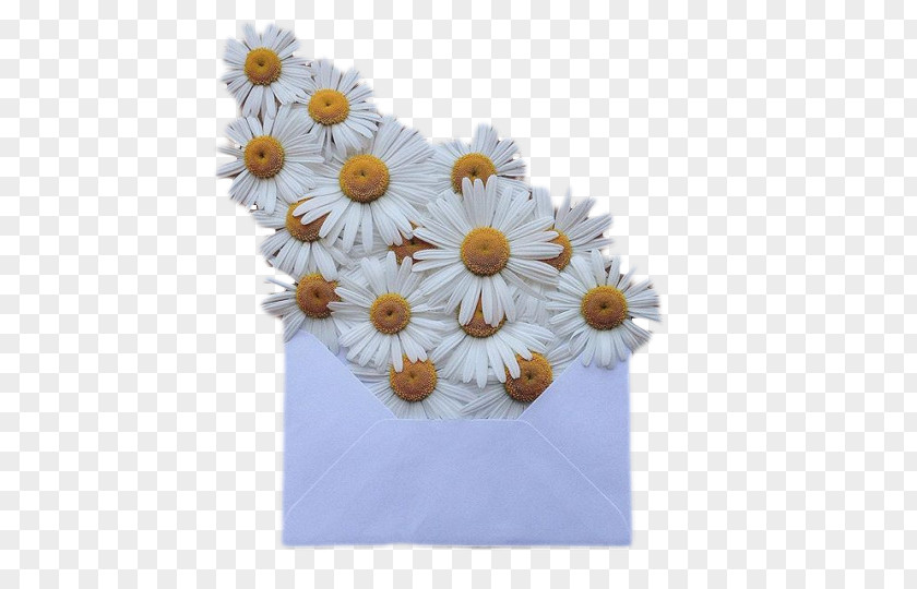 Textile Wedding Invitation Flower Bouquet Envelope Paper PNG