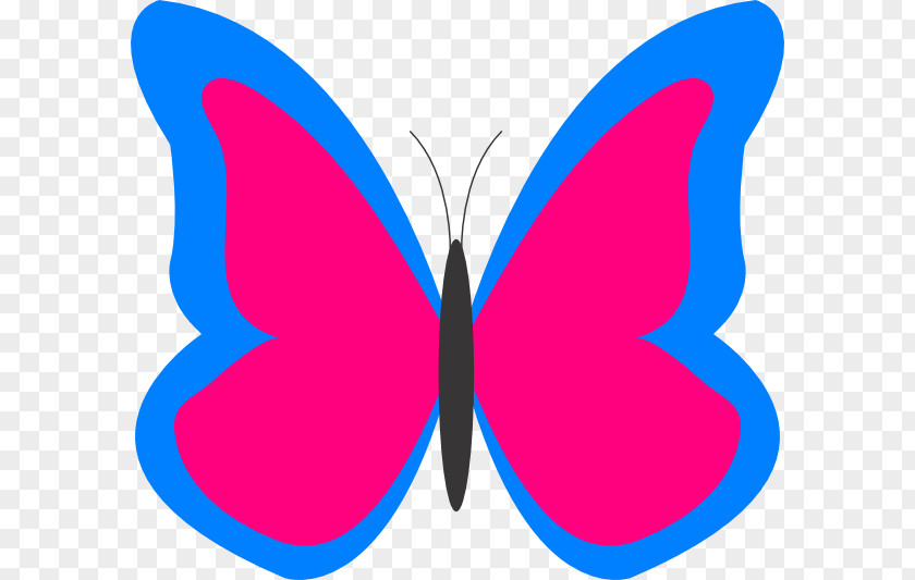 Butterfly Image Clipart Free Content Clip Art PNG