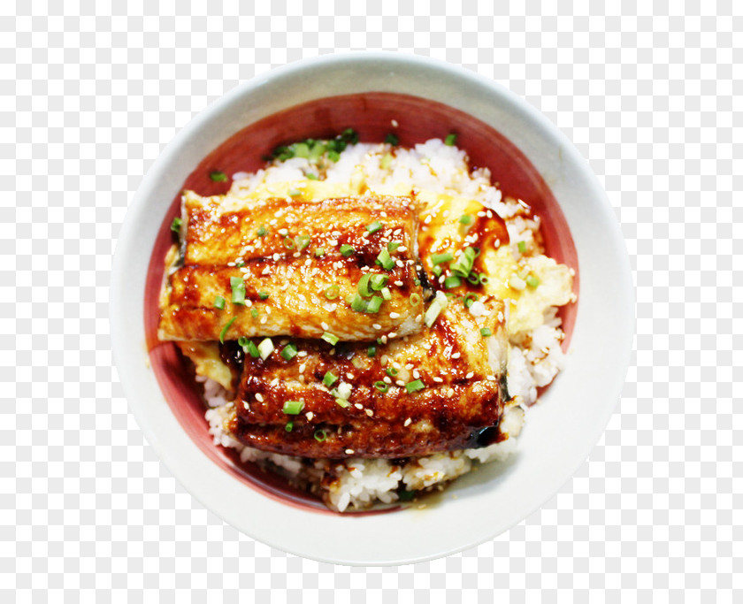 Eel Rice Food Overlooking Turkish Cuisine Japanese Vegetarian European Gastronomy PNG