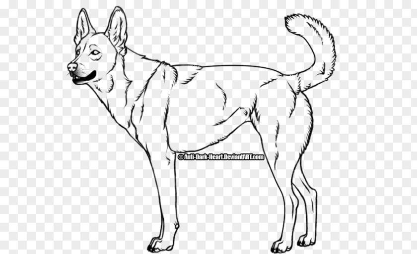 Golden Retriever Dingo Puppy Drawing Coyote PNG
