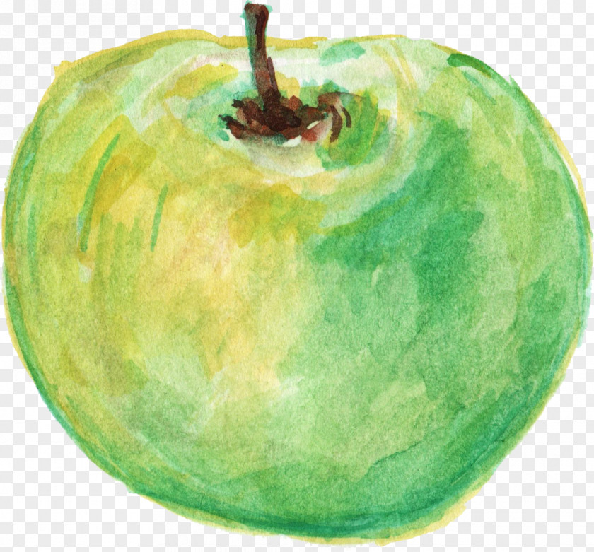 Hand Painted Apple Organic Food Watercolor Painting Fruit PNG