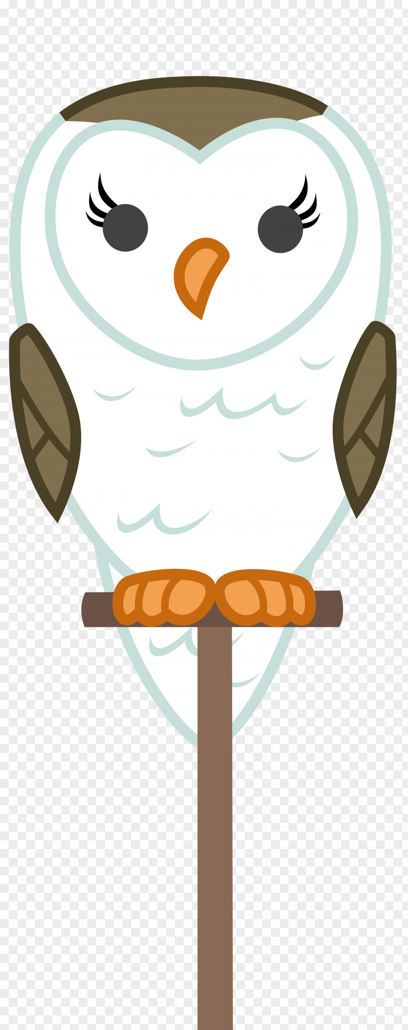 Owl Bird Of Prey Vertebrate Beak PNG