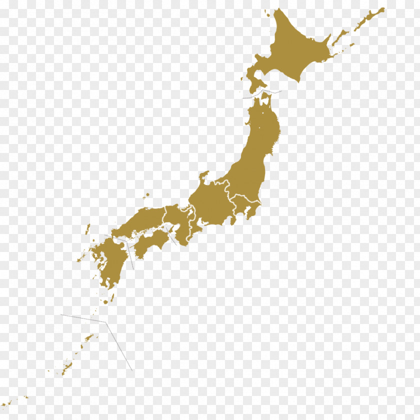 Sightseeing Map Japan Vector PNG