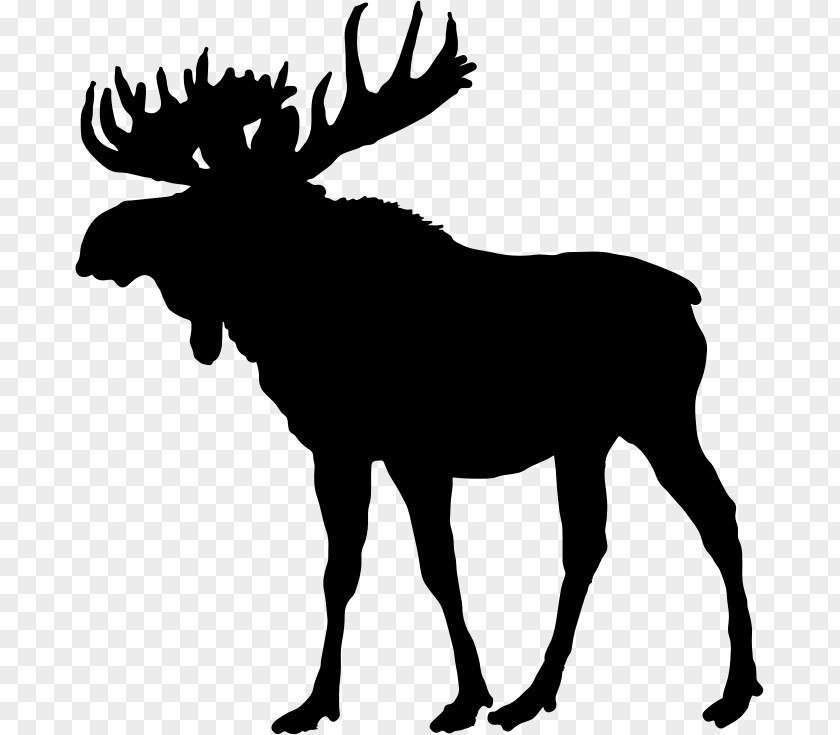 Bull Silhouette Moose Deer Clip Art PNG