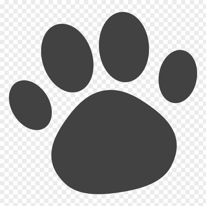 Cat Dog Vector Graphics Pet Veterinarian PNG