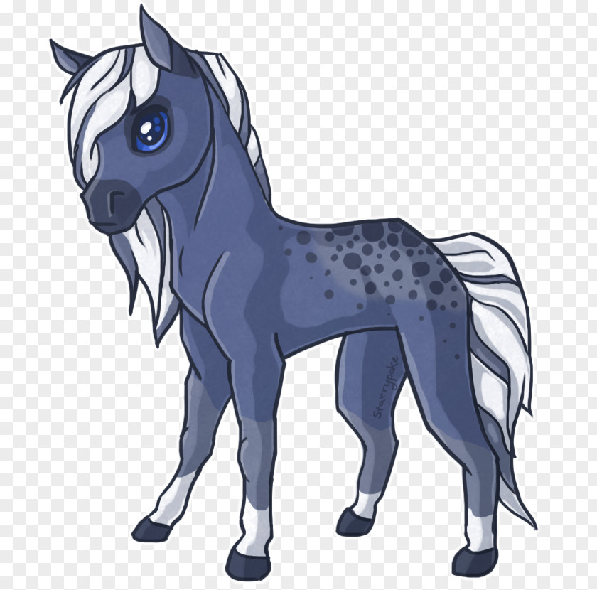 Mustang Pony Howrse Arabian Horse Stallion PNG