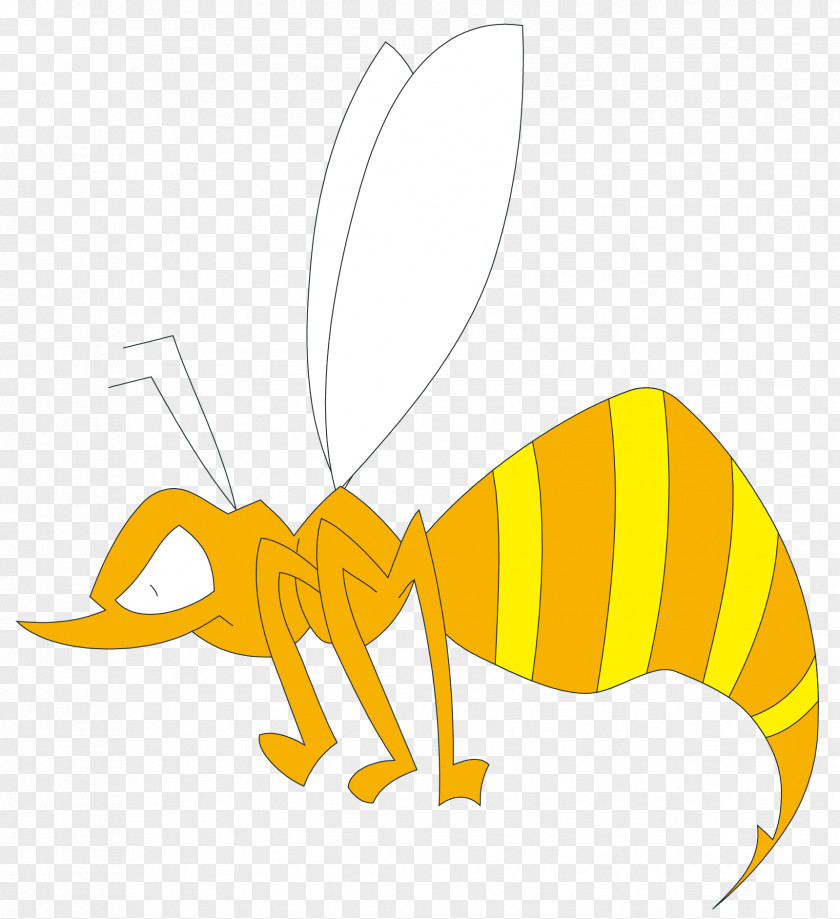 Angry Bees Vector Material Apis Florea Insect Apidae Illustration PNG