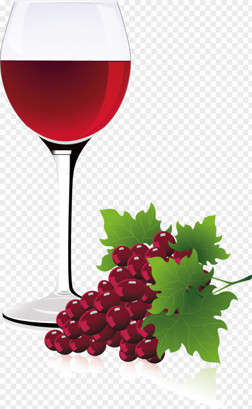 Glasses Decorative Design Vector Red Wine Common Grape Vine PNG