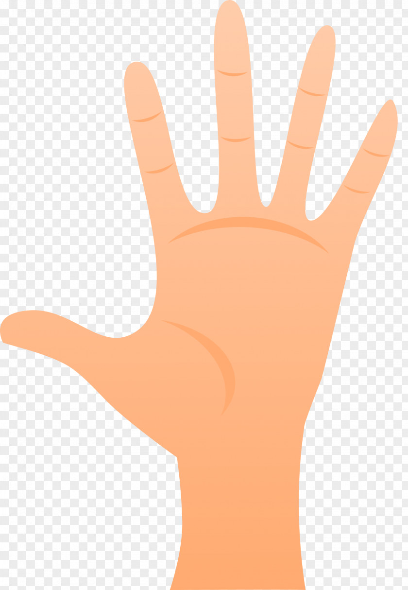 Hand Thumb Model Glove Line PNG