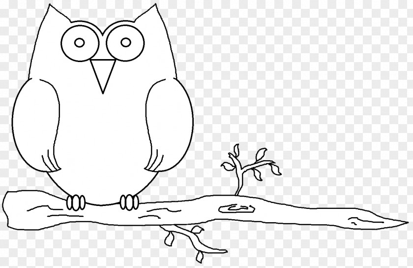 Owls Bird Drawing Owl PNG