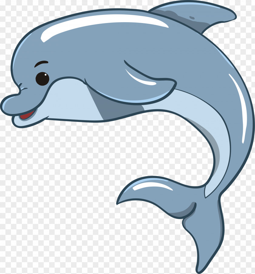Dolphin Vector Graphics Image Clip Art Stock.xchng PNG