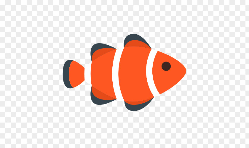 Fish Ocellaris Clownfish PNG