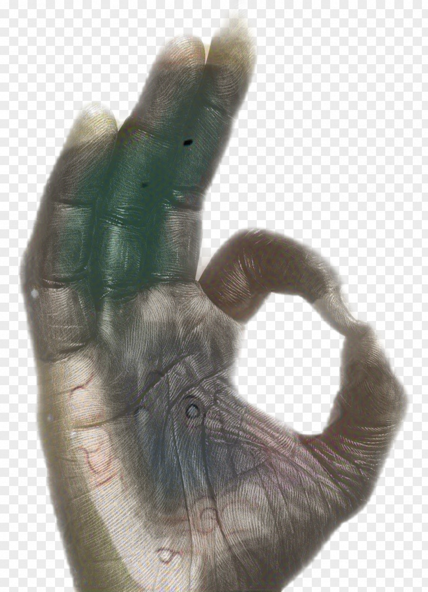 Glove Thumb Animal Hand PNG