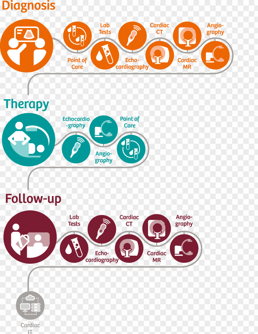 Heart Cardiology Cardiovascular Disease Coronary Artery PNG