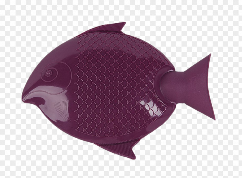 Hui Good And Hot-water Bottle Parrotfish Blood Parrot Cichlid Hot Water PNG