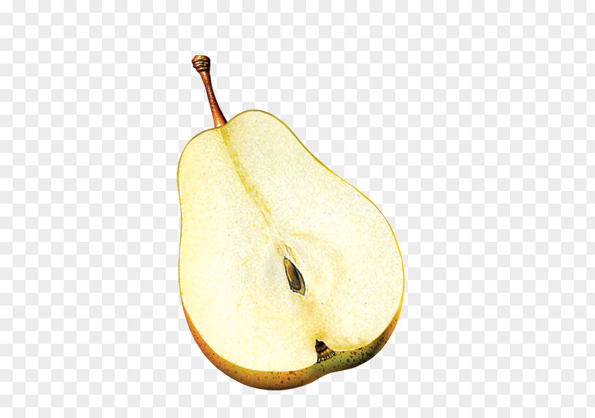 Pear Pyrus Xd7 Bretschneideri Fruit PNG