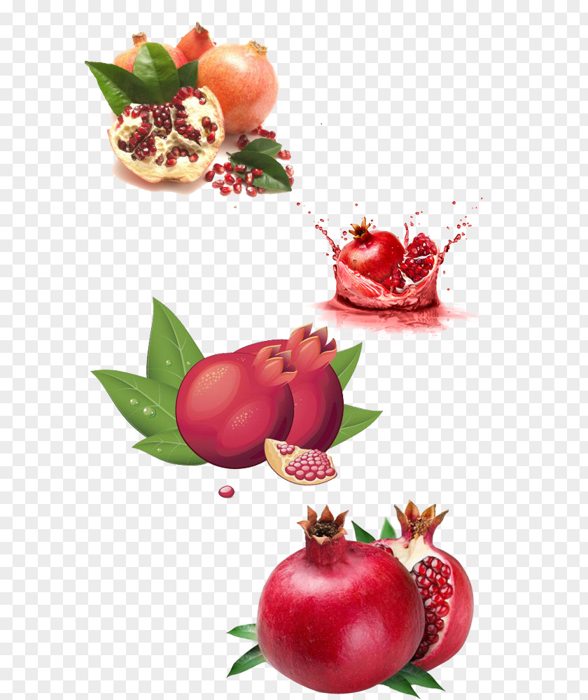 Pomegranate Fruit Food PNG