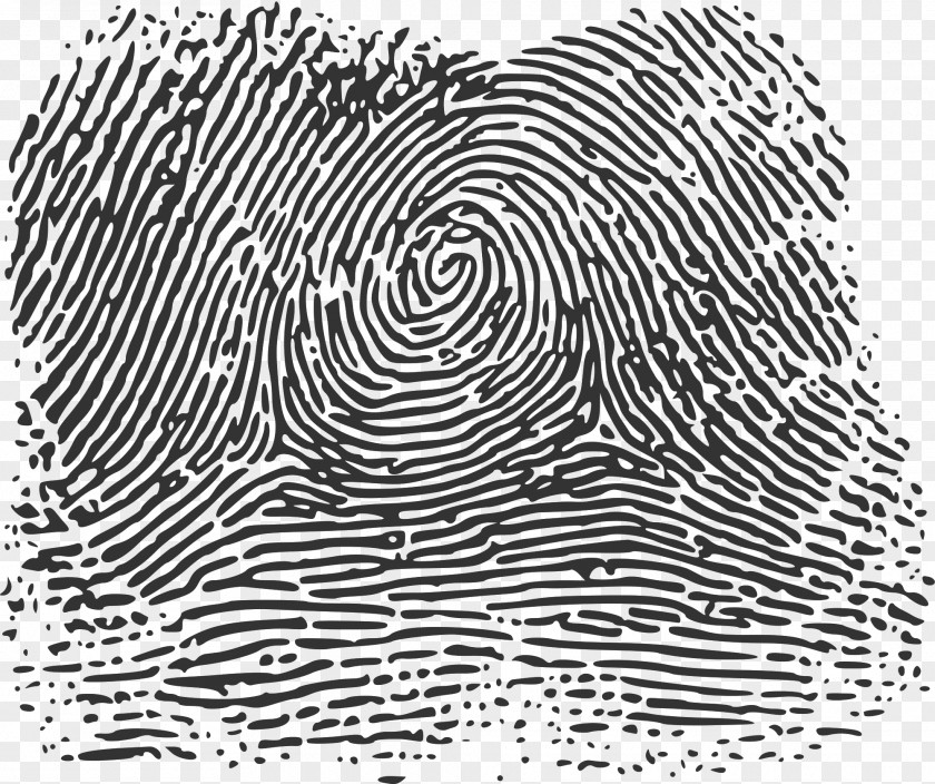 Printing Advertising Fingerprint Wikimedia Commons Image Thumb PNG