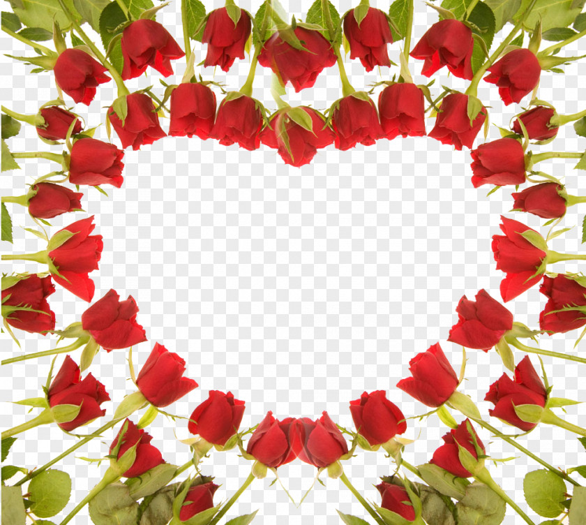 Red Rose Wedding Flower Gift Desktop Wallpaper PNG