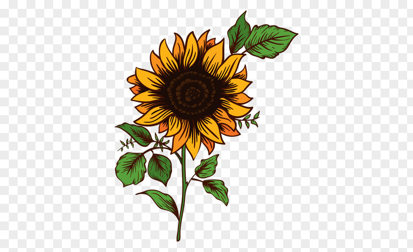 Sunflower Watercolor Common Drawing Clip Art PNG