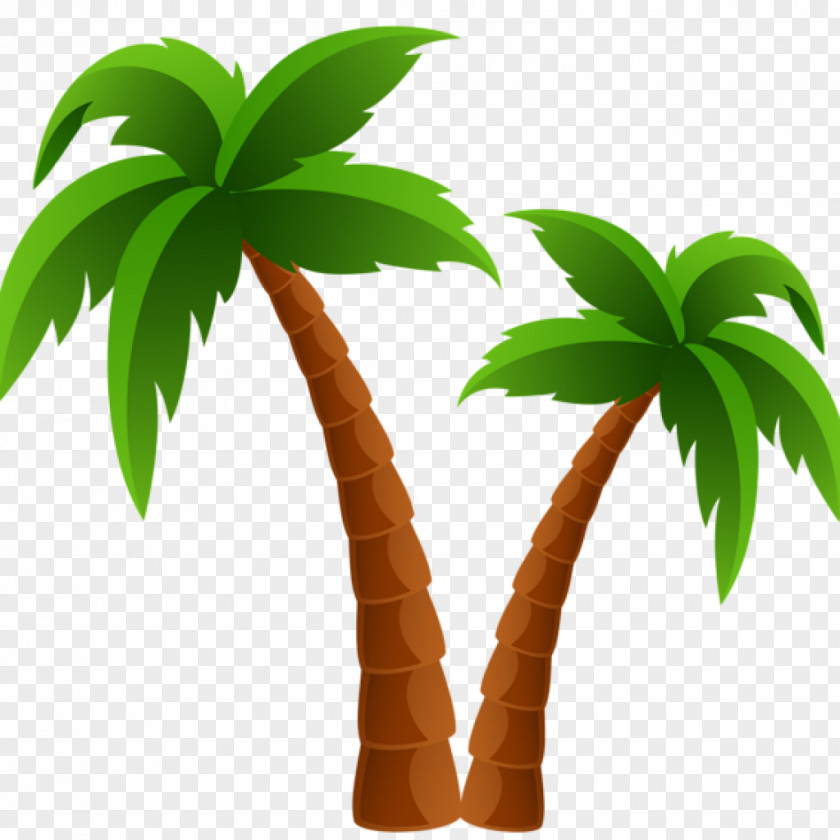 Tree Clip Art Palm Trees Image Transparency PNG