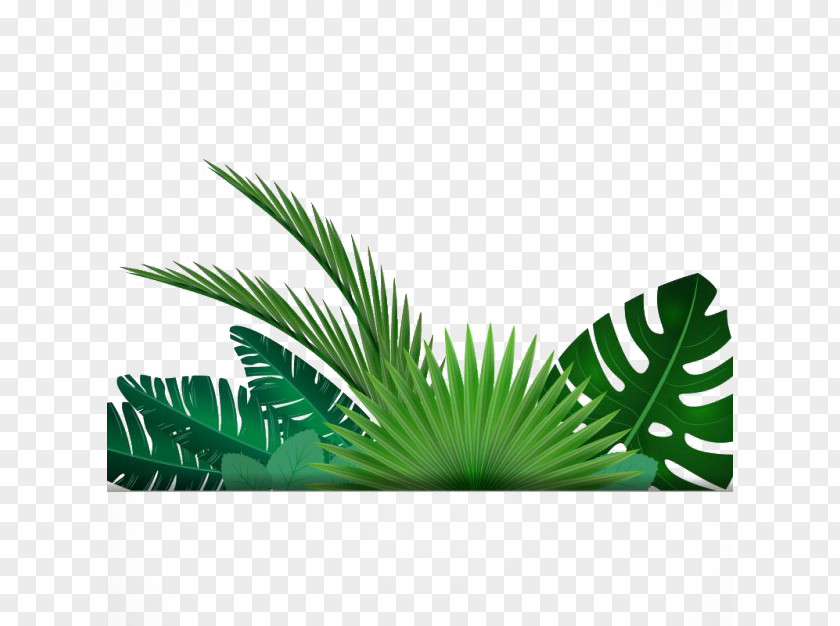 Banana Leaf Background Tropics Clip Art PNG