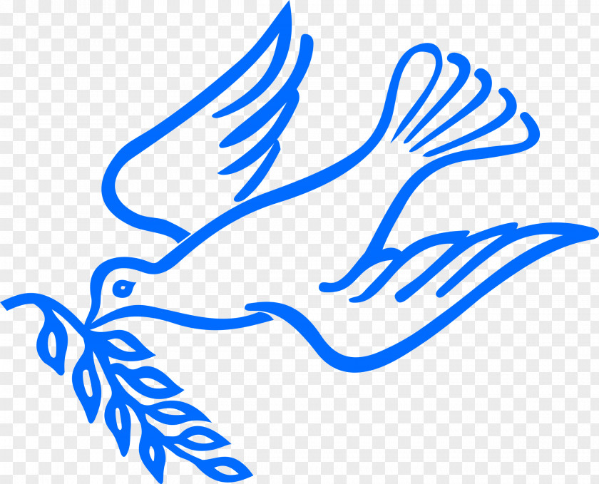 DOVE Columbidae Peace Doves As Symbols Clip Art PNG