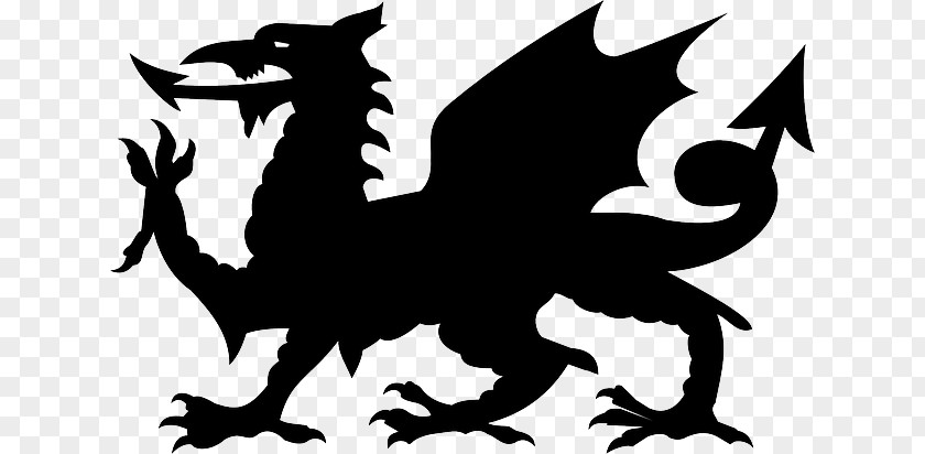 Flag Of Wales Welsh Dragon PNG of Dragon, crazy girl water color clipart PNG