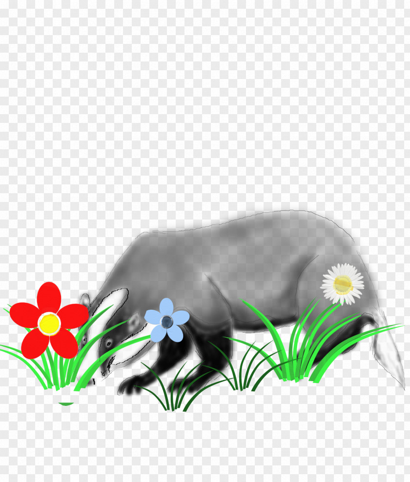 Forest Animal European Badger PNG